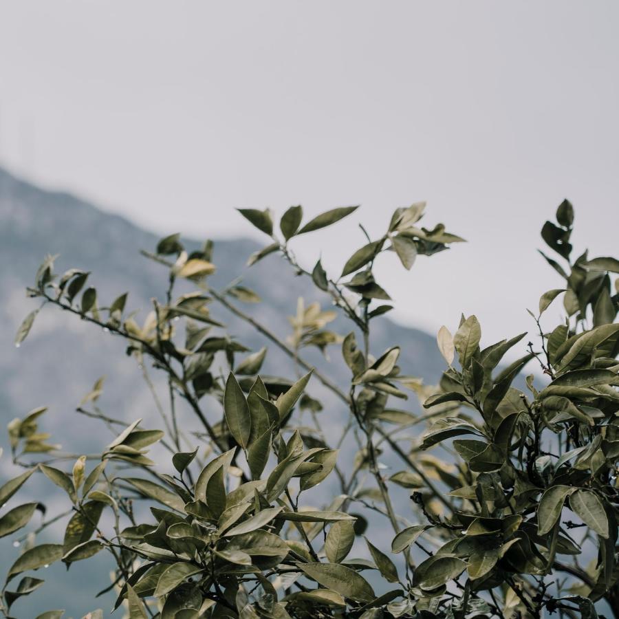 Baleze Boutique Hotel - Adults Only Akyaka  Εξωτερικό φωτογραφία